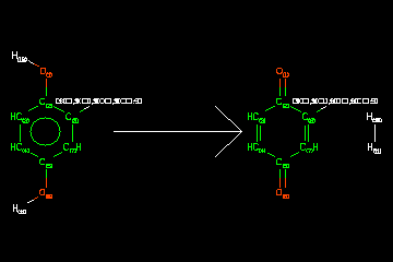 [O:1]([H:10])[c:2]1[cH:3][cH:4][c:5]([O:6][H:11])[cH:7][c:8]1[$(C),$(Cl),$(OC),$(CC):9]>>[O:1]=[C:2]1[CH:3]=[CH:4][C:5](=[O:6])[CH:7]=[C:8]1[$(C),$(Cl),$(OC),$(CC):9].[H:10][H:11]